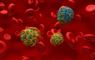 HDL (good) and LDL (Bad) lipoprotein (cholesterol) in the blood flow